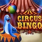 Circus Bingo